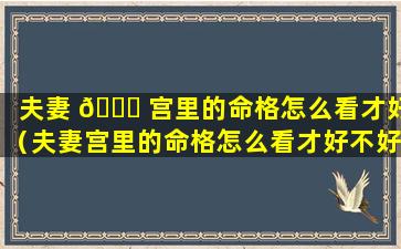 夫妻 🐒 宫里的命格怎么看才好（夫妻宫里的命格怎么看才好不好）